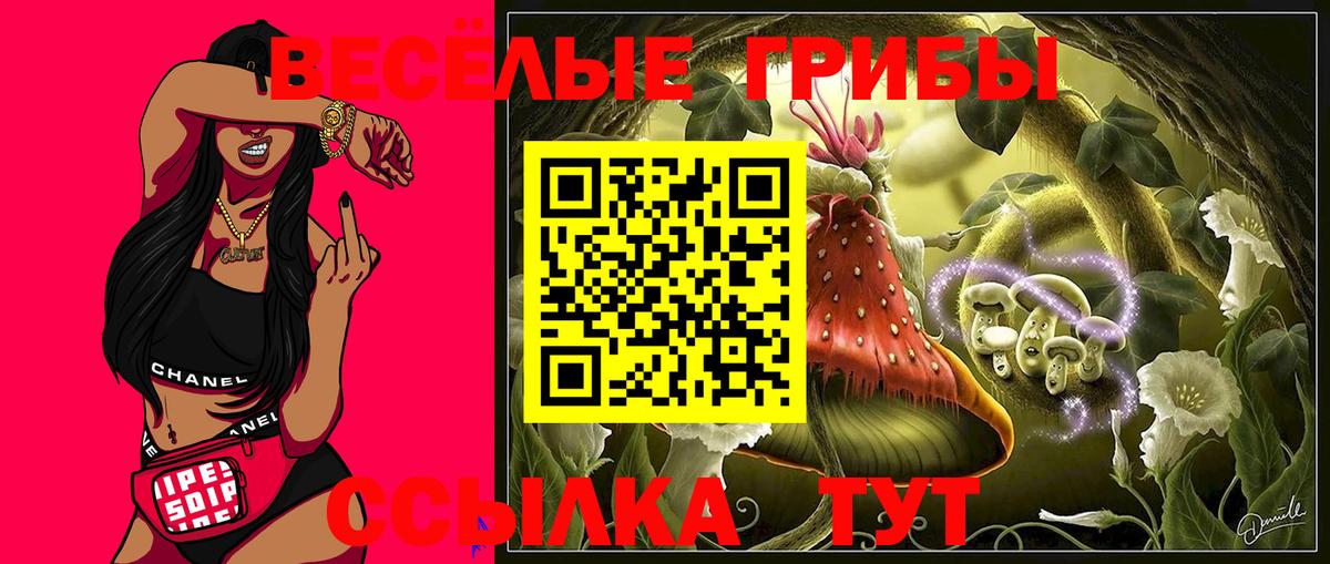 Рославль  Псилоцибиновые грибы прущие грибы  Вход с VPN 